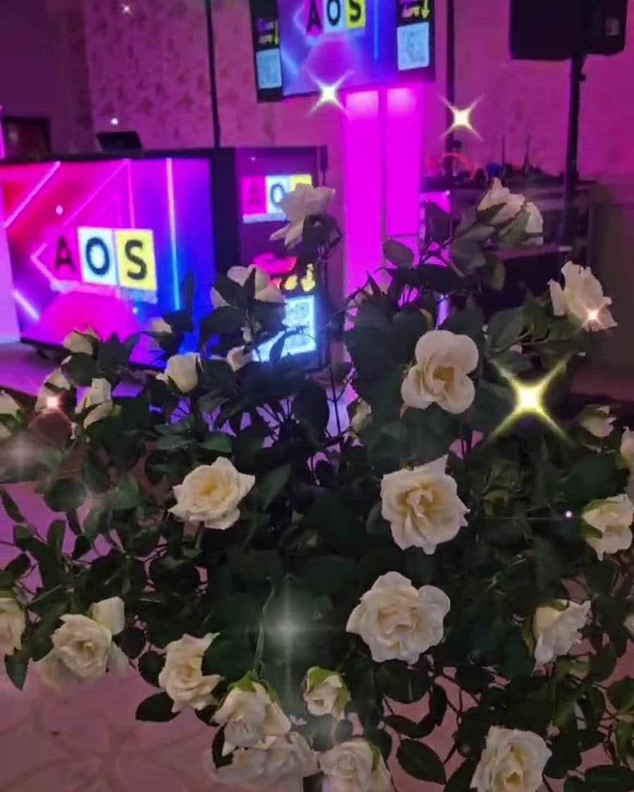 White roses in front of the AOS LED DJ booth at a wedding venue